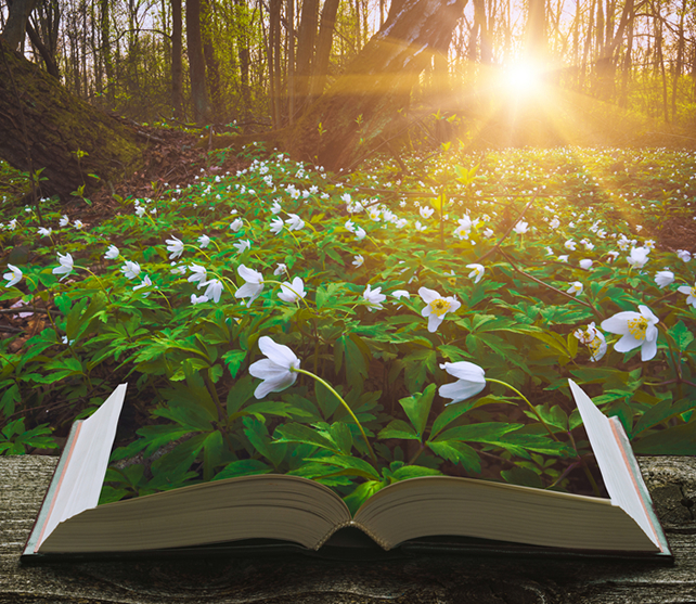 book-flowers