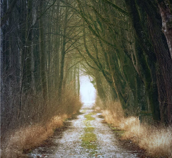 The Guided Journey
